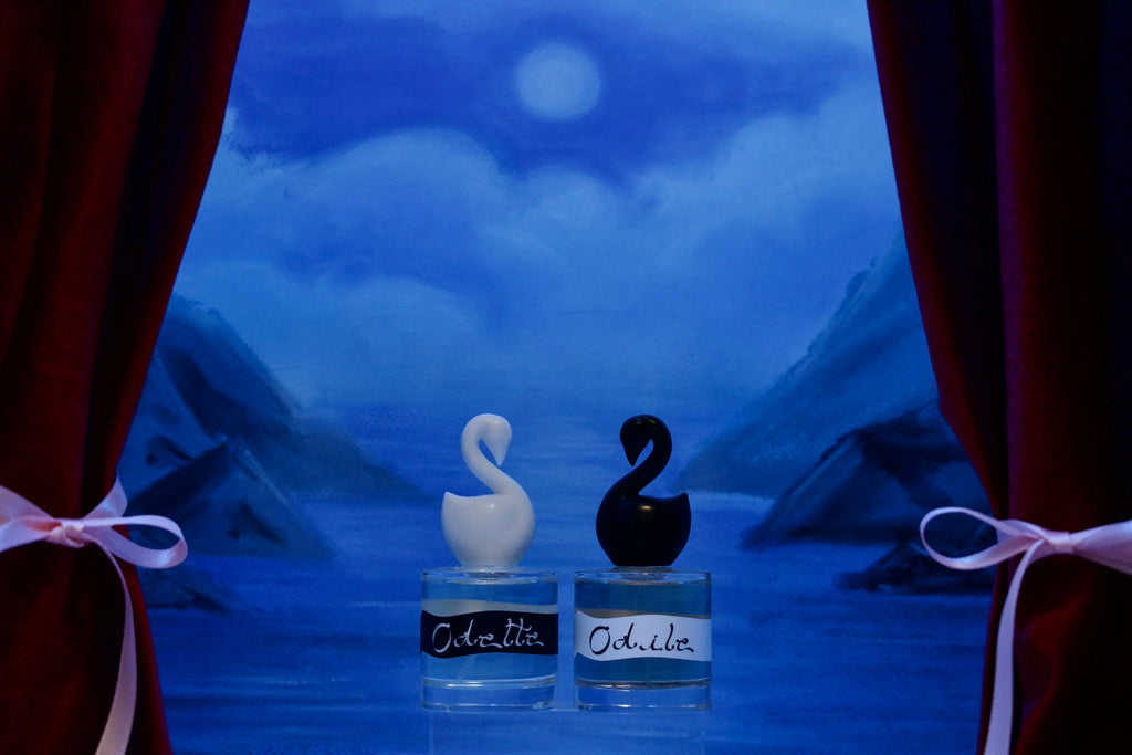 BOTH SWANS